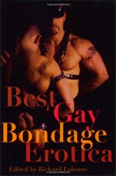 Buy Best Gay Bondage Erotica
